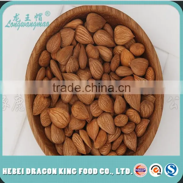 Apricot -Apricot Nuts - Raw Bitter and Sweet Kernels, Apricot Kernel From Own Factory photo-2