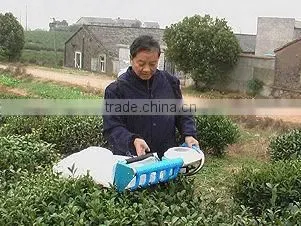 Tea Harvester With Bags