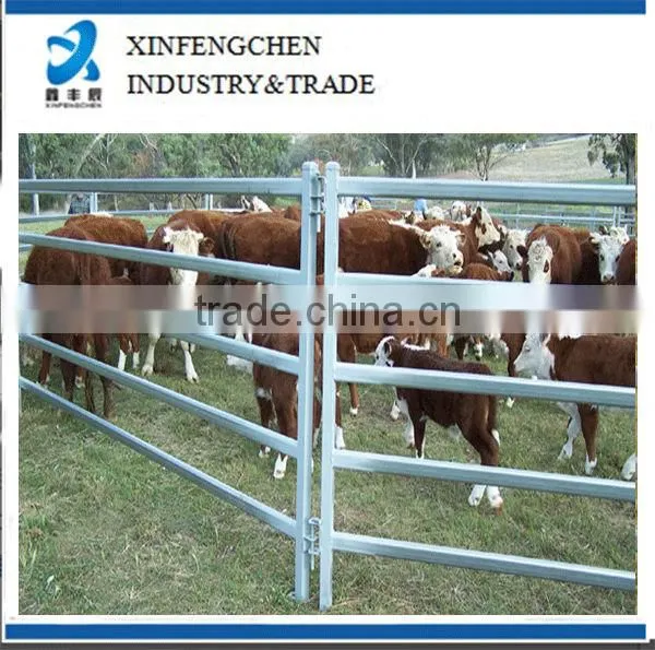 Cattle Horse Panels