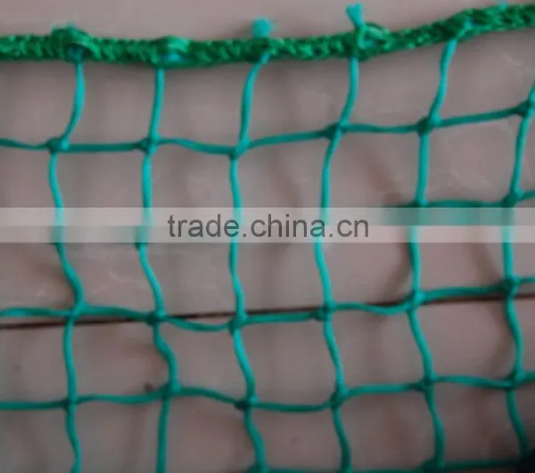 pe Fishing Net Monofilament Multifilament Singel Knot ,selvage, pe Safety Nets for Windows and Balcony photo-4