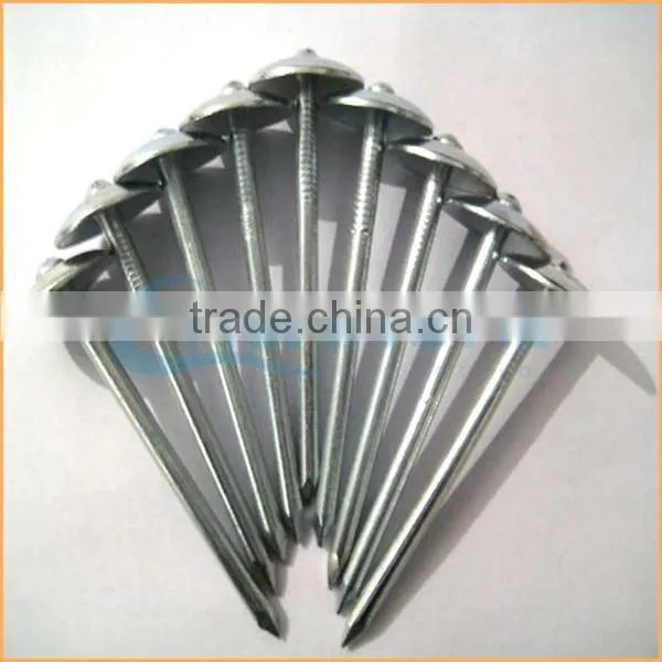 Top Quality Competitive Zinc Roofing Nail With Umbrella Head From Trusted Chuanghe Suppliers photo-6