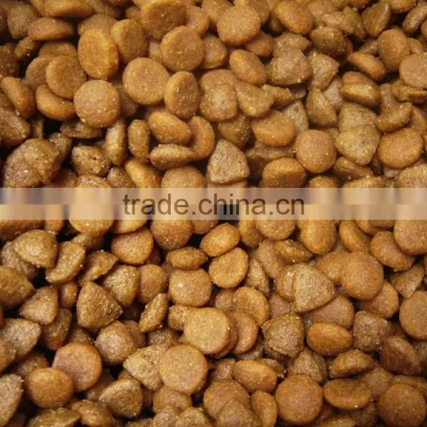 All Over the World Twin Screw Extruder to Make Dog Food photo-4