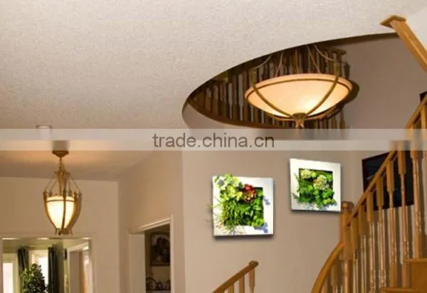 2017 China Popular 3D Framed Art photo-2