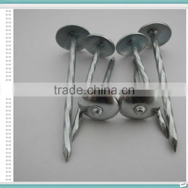 Umbrella Head Galvanized Roofing Nails With Rubber Washer photo-2