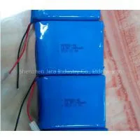 High Capacity Battery photo-2