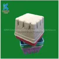 Molding Pulp Process, Eco-friendly Paper Pulp Fruit Container
