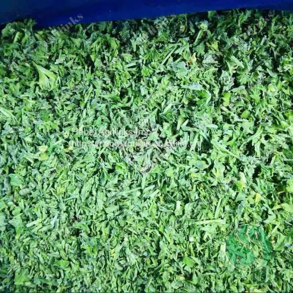 Frozen Parsley