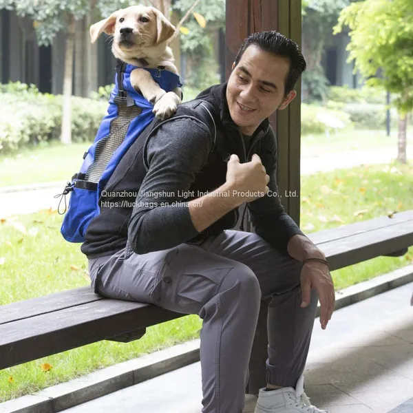 Motorcycle Wholesale Safety Extra Pockets Adjustable Travel Pet Carrier Backpack photo-4
