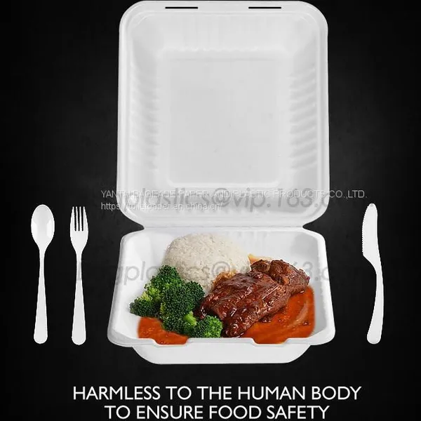 Disposable Corn Starch Plates, Biodegradable Corn Starch Food Container, Biobased Food Tray, Disposable Plastic Takeaway Meal Tray, Corn Starch Blister Packaging Tray, Blister Packaging photo-5