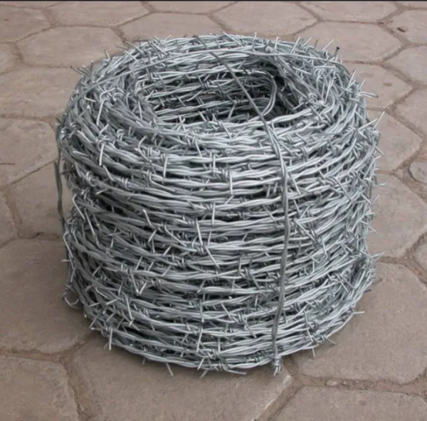 Security Protection Prison Applications Galvanized Cattle Barbed Wire photo-5