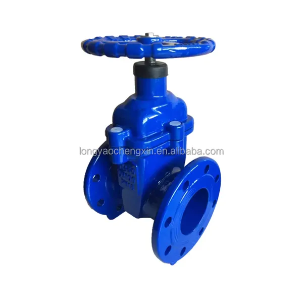 BS Brass Seat Non Rising Stem Gate Valve BS5163 BS3464 Gray Cast Iron and Ductile Iron Valves PN10 PN16 photo-3