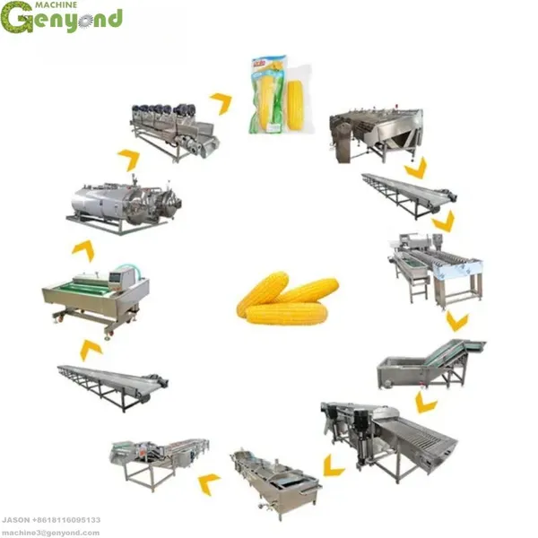 Industrial Automatic Customized Fresh Corn Processing Production Line photo-3