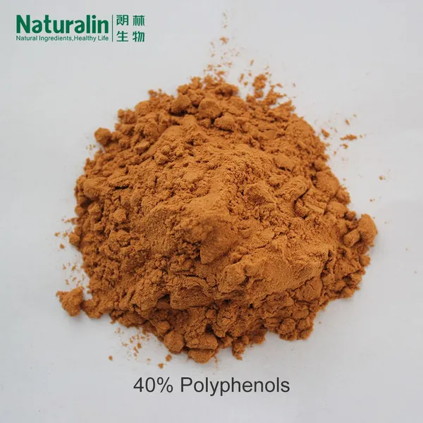 Green Tea Extract photo-3