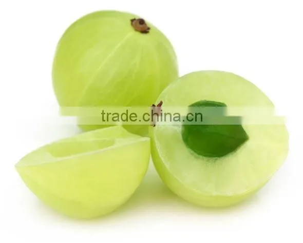 Superior Quality Amla Powder Bulk Producers photo-3