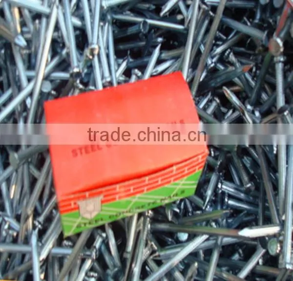 Common Wire Nail for Dubai Market photo-5