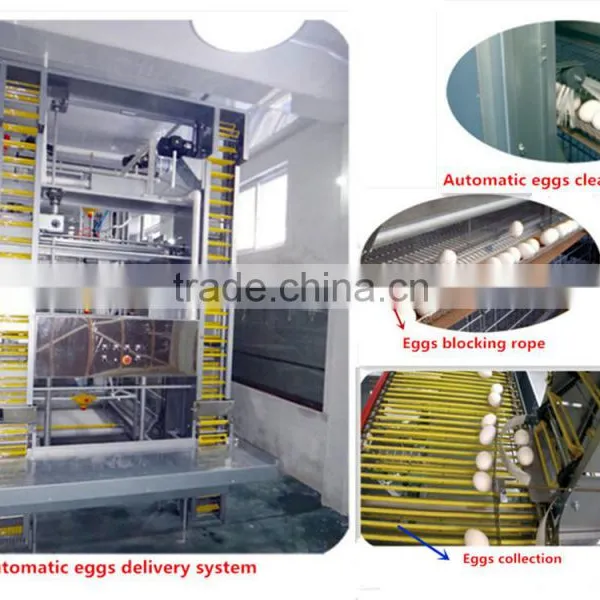 Birdsitter ISO9001 Qualified Aluminum-Zinc Alloy Poultry Farm Chicken Cage Quality Choice photo-6
