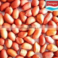 Bulk Raw Organic Peanuts