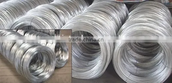 Electro Galvanized Iron Wire Q235 Q195 (real Factory) photo-2