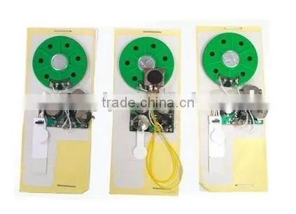 Customized Recordable Voice Recognition Chip With IC Chip photo-4