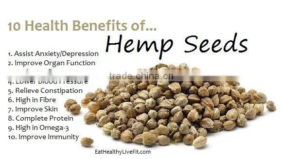 Quality Hemp Seeds photo-4