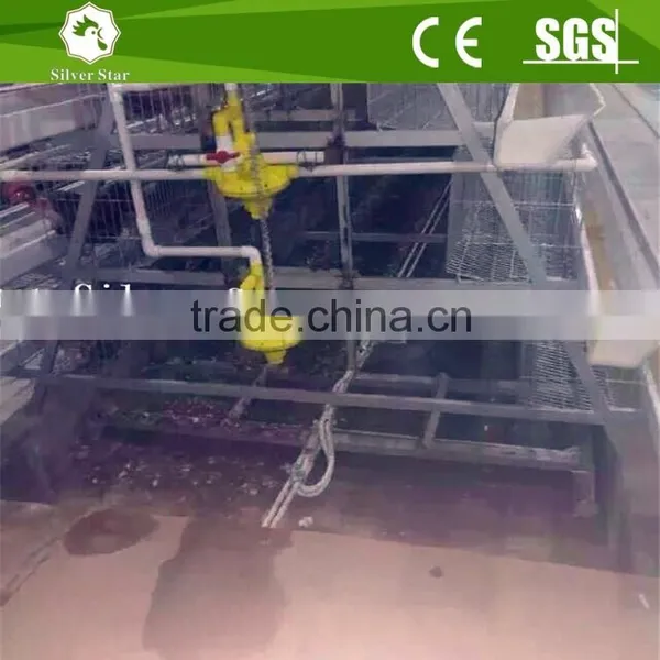 Agriculture Chicken Cage With Manure Removal Machines photo-3