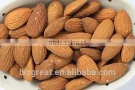 Roasted Salted Apricot Kernels Without Shell for Hot Sale photo-2
