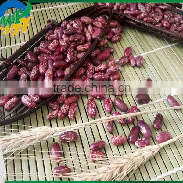 Chinese Purple Speckled Kidney Beans for Sale photo-2