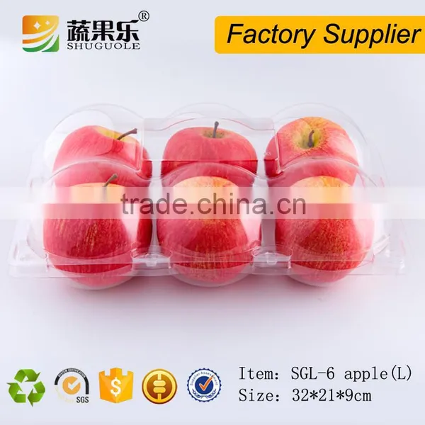 6 Loaded Clear Plastic Packing Box for Orange/apple photo-3