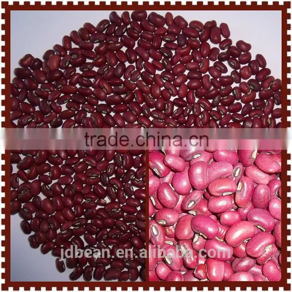 Crop 2015 New Crop Red Cowpea Beans photo-5