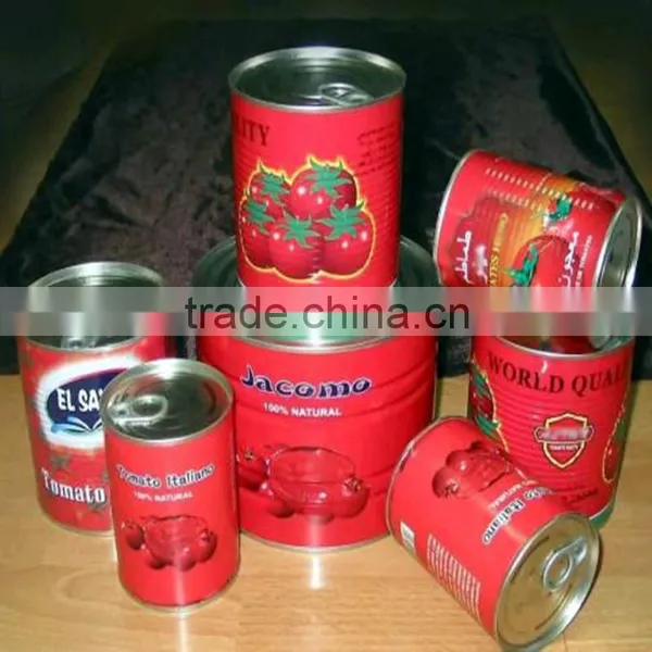 Canned Tomato Paste Tomato Paste China Supplier photo-3