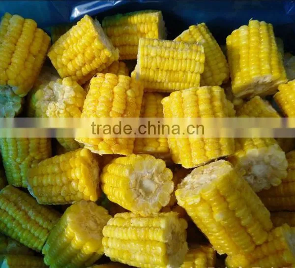 2016 New Crop Frozen IQF Sweet Corn Cob photo-4