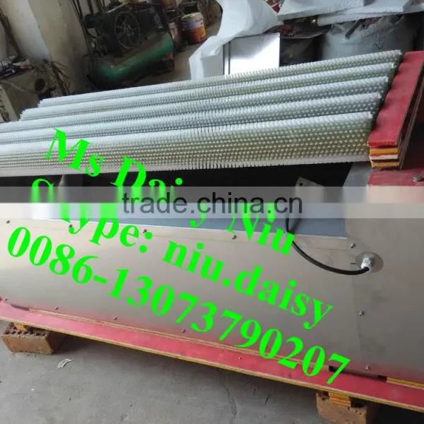 Automatic Fruit and Vegetable Brush Peeler photo-5