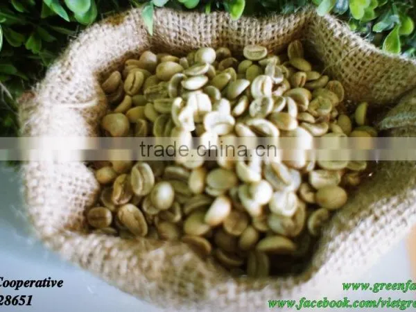 Cau Dat Caturra Coffee Beans With Fairtrade Certification photo-2