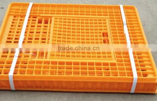 Plastic Animal Transport Box for Poultry Chickens photo-5