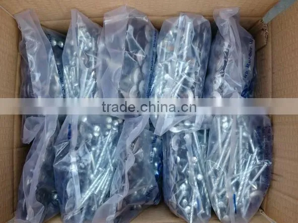 Hot-selling Polished Common Nails / Roofing Nails / Flat Head Nails photo-3