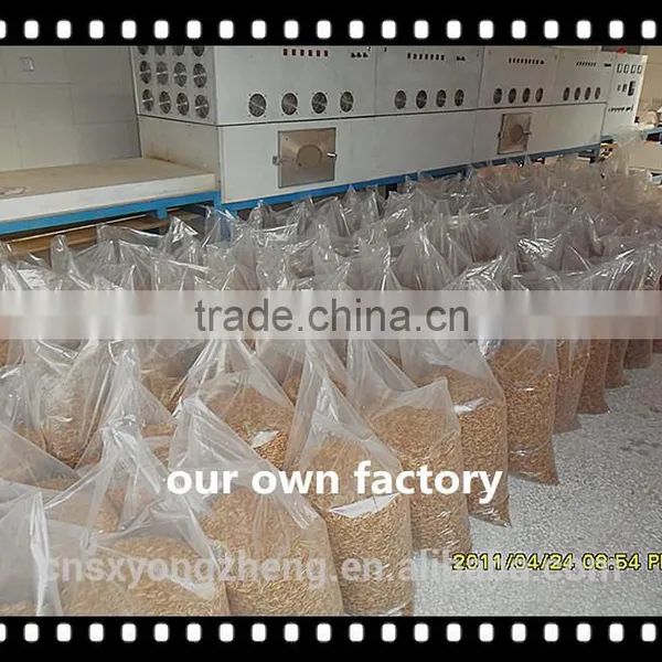 Organic Food Dried Mealworms photo-2