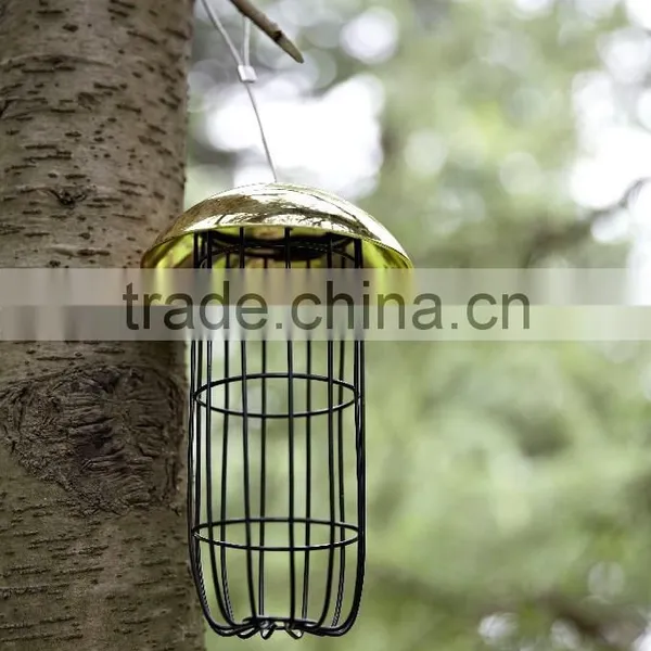 Bird Feeder photo-3