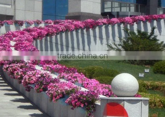 Eco-friendly Cheap Flower Pots Recyclable Plastic Planters Hanging Planters photo-2