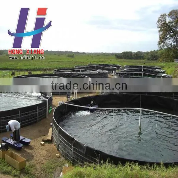 Hot Sales of Water Proof Material Fish Equipment Fish Farm Swimming Pool Shrimp Farm HDPE Geomembrane photo-2