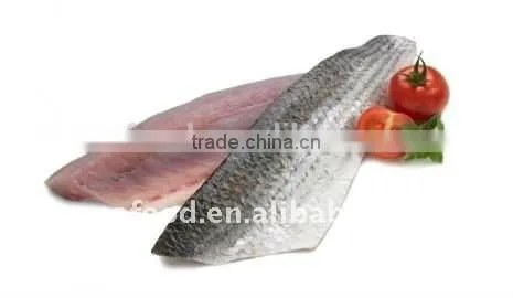 Grey Mullet Fillet ,skin-on,boneless IQF Processing Frozen Seafood