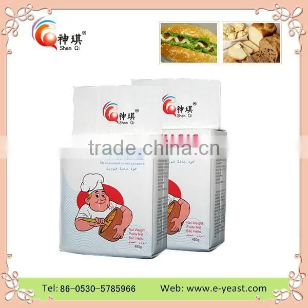 Instant Dry Yeast Made in Turkey Packed in 10g and 500g photo-2