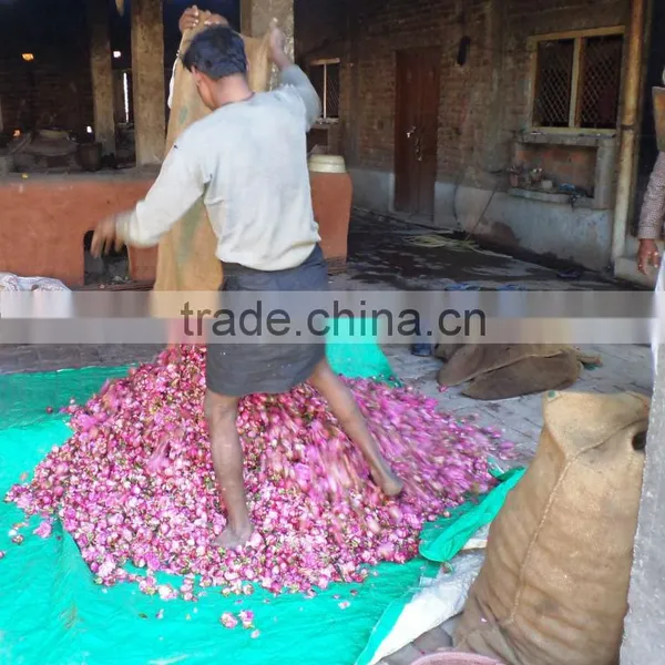 Rose Water photo-2