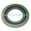 Spiral Wound Gasket