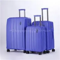Boarding Luggage