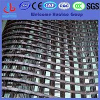 Geogrid