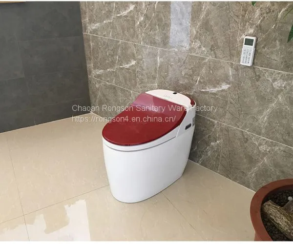 China Sanitary Ware Portable Bathroom Modern New Design Gold Intelligent Toilet Seat Cover With All Self-clean System photo-3