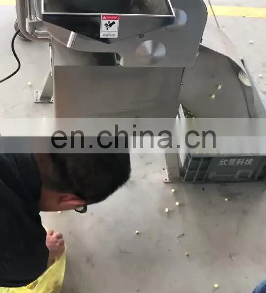 Double Head Vegetable Cutter Multifunctional Steel Vegetable Cutting Machine