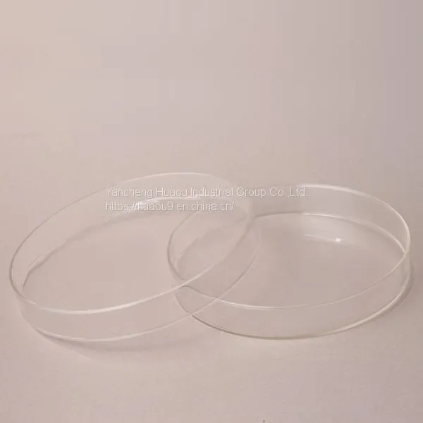 Petri Dish and Other Laboratory Dishes