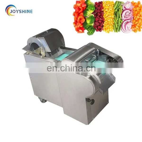 Stainless Steel Fruit and Vegetable Slice Cutting Machine photo-6
