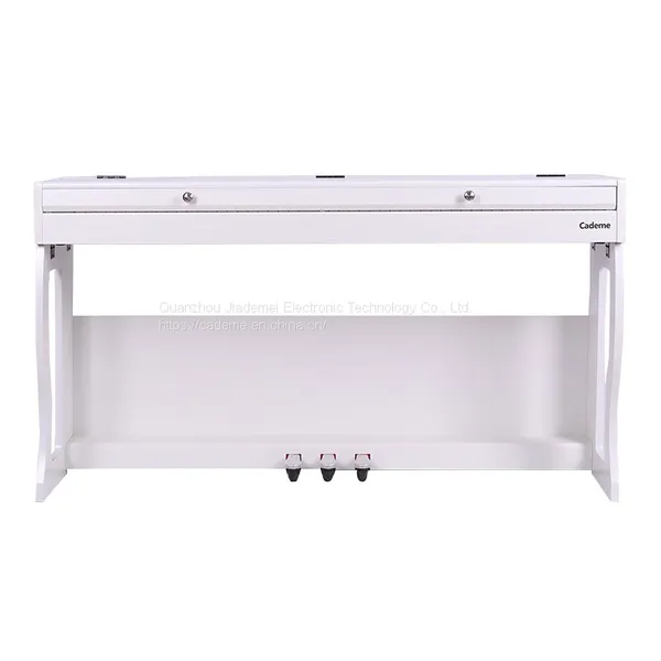 OEM Digital Electric Piano for Kids Professionals Electronic Organ Piano Keyboard photo-5